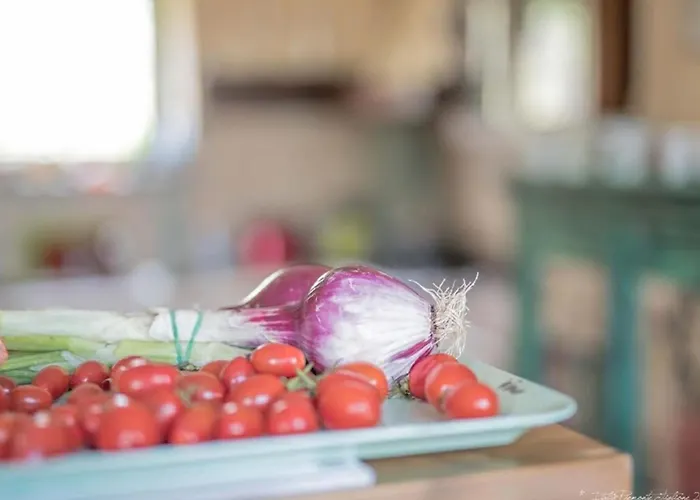 Piemonte By Interhome Holiday home