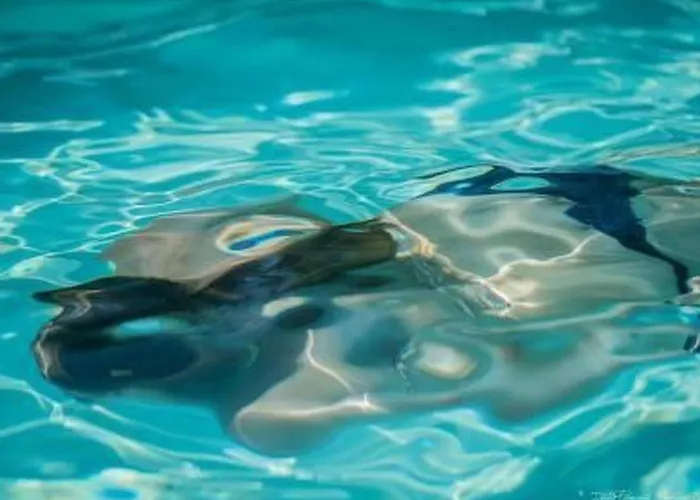 Prázdninový dům Piemonte By Interhome *